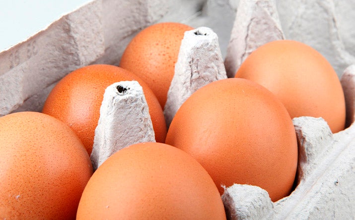 huevos en cubeta de cartón Huevos en cubeta/empaque de cartón