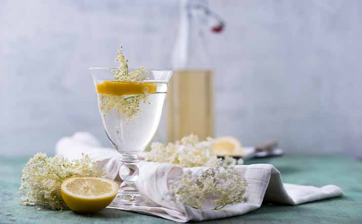 Flor de saúco, una de las flores comestibles, en una infusión con limón. Flor de saúco, una de las flores comestibles, en una infusión con limón.