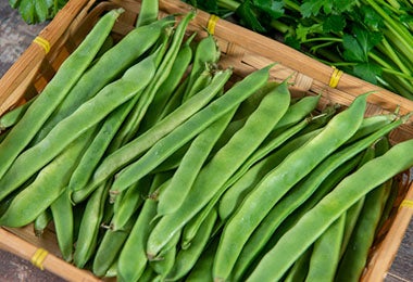 Canasta con vainas de porotos verdes tubulares&nbsp;