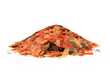 Montón de algas comestible para sushi vegano.