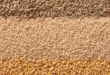 Granos tostados por la callana