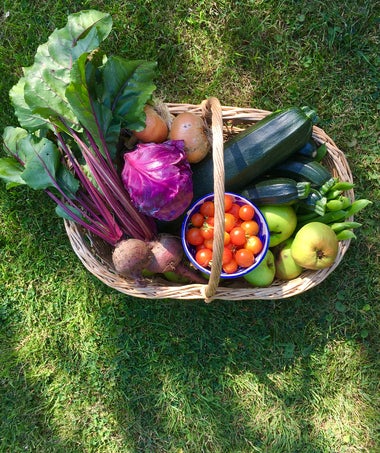 Canasta de vegetales frescos con ruibarbo, tomates y otros ingredientes del huerto