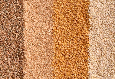 Cuatro tipos de semillas comestibles distintas
