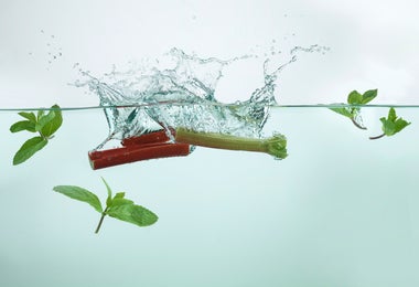 Tallos de ruibarbo sumergidos en agua con hojas de menta fresca flotando alrededor