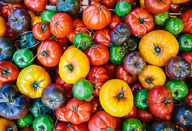 Variedad de tomates para hacer salsa de tomate casera