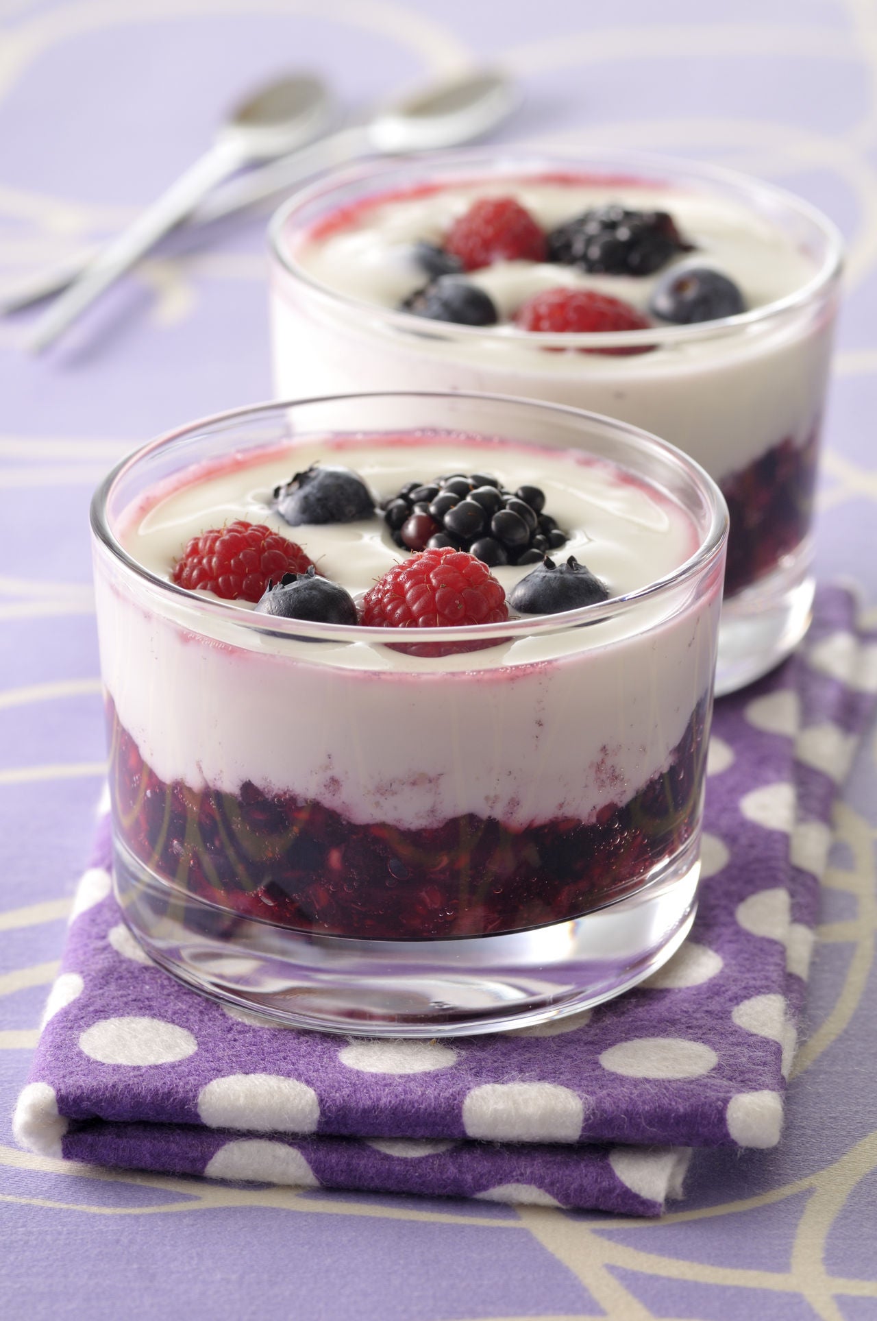 Cremoso con Frutos Rojos Boost