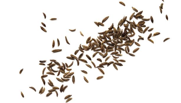 Varios granos de arroz salvaje.