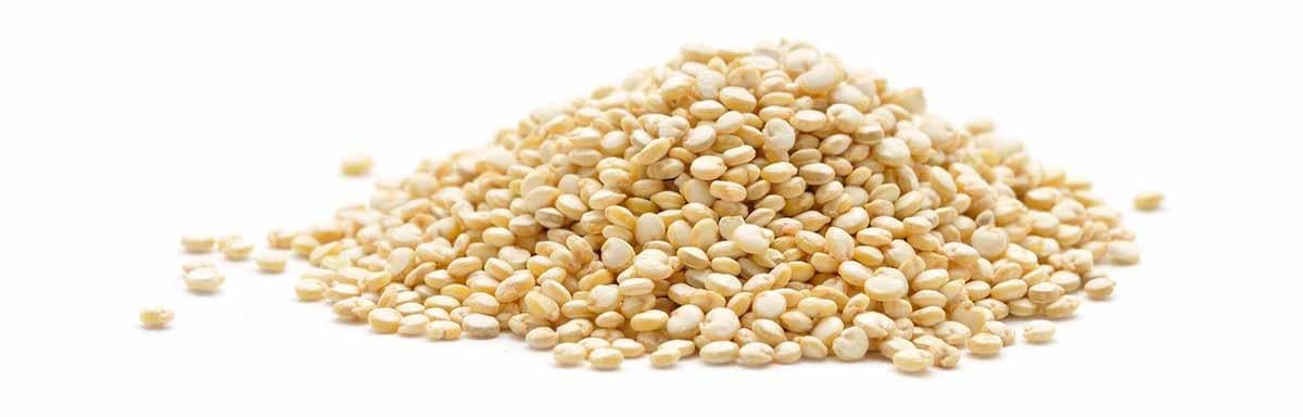 Granos de quinoa