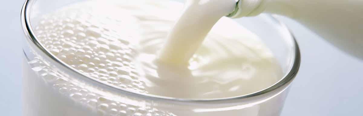 Conoce los principales productos lácteos.