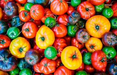Variedad de tomates de diferentes colores Variedad de tomates de diferentes colores