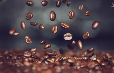 Alimentos para sembrar en huerta casera Alimentos para sembrar en huerta casera