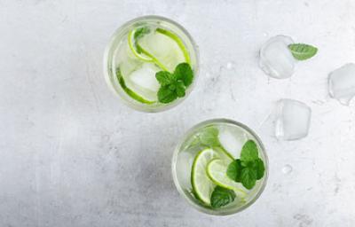 Bebidas con menta Bebidas con menta