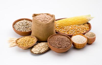 Varios tipos de granos como maíz, arroz, quinoa y diferentes tipos de cereales. Varios tipos de granos como maíz, arroz, quinoa y diferentes tipos de cereales.