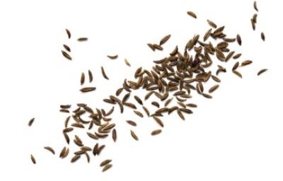 Varios granos de arroz salvaje.
