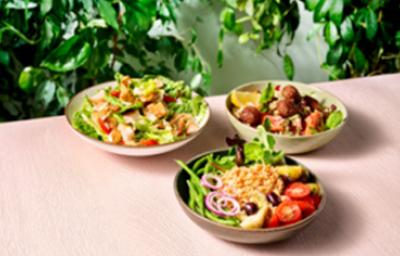 Variedad de ensaladas frescas con la clásica Ensalada Nicoise Tres ensaladas frescas con la clásica Ensalada Nicoise, servidas en bowls