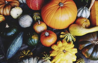 Variedad de tipos de zapallo para cocinar y decorar Variedad de tipos de calabacita y zapallos en diferentes tamaños y colores