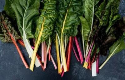 Tipos de acelgas: Acelgas de colores frescas y listas para cocinar Variedades de acelga de colores, incluyendo acelga roja, amarilla y verde