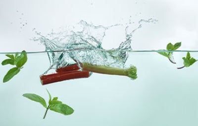 Tallo de nalca chilena en agua