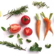 Alimentos para sembrar en huerta casera