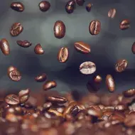 Alimentos para sembrar en huerta casera 