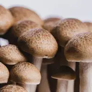 Champiñones ingredientes con sabor umami  