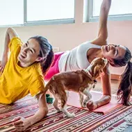 Unas mujeres haciendo ejercicio en casa con su perro