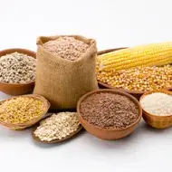 Varios tipos de granos como maíz, arroz, quinoa y diferentes tipos de cereales.