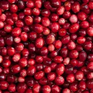 Aprende lo más importante a la hora de hacer un menú vegano