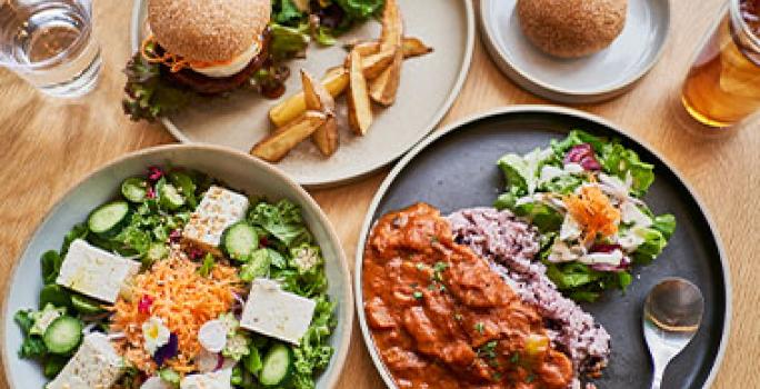 El tofu y la soya texturizada son comidas veganas que vale la pena conocer. Comidas veganas, como tofu con ensalada y soya texturizada, en una mesa.