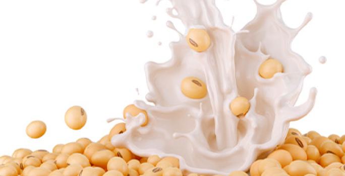 Granos y bebida de soya en quesos veganos Granos y bebida de soya en quesos veganos