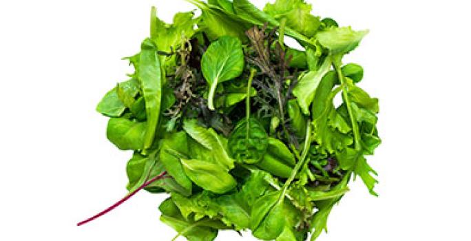 Variedad de hojas verduras verdes Variedad de hojas verduras verdes