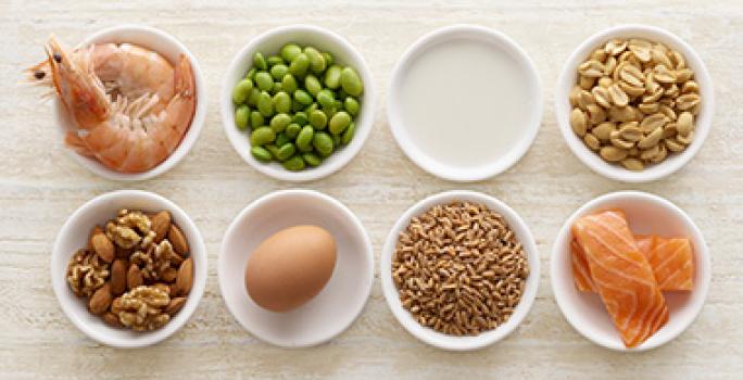 Ingredientes con proteínas, legumbres clasificación alimentos Ingredientes con proteínas, legumbres clasificación alimentos