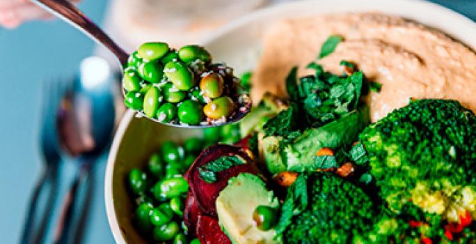 Las verduras y el hummus son muy comunes en la comida árabe. Plato con verduras y hummus, una combinación común en la comida árabe.
