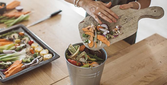 Recipiente en cocina para depositar residuos de verduras en composta Recipiente en cocina para depositar residuos de verduras en composta