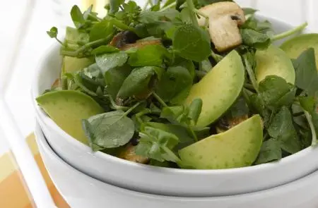 Ensalada de Berros con Palta y Champiñones