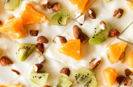 Barritas de Yoghurt y Fruta